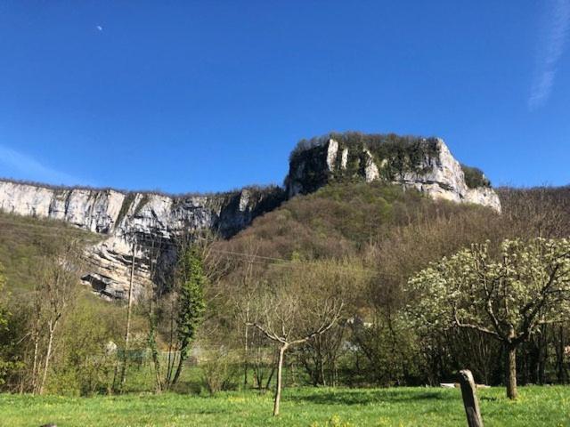 Gite De La Cascade Les Planches-pres-Arbois エクステリア 写真